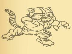 Livro de Colorir do Tigre