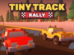 Tiny Track Rally